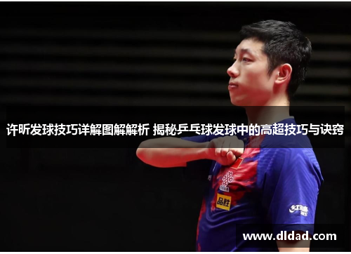 许昕发球技巧详解图解解析 揭秘乒乓球发球中的高超技巧与诀窍